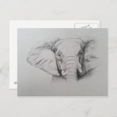 Elefant 2011 postkarte (Vorne/Hinten)