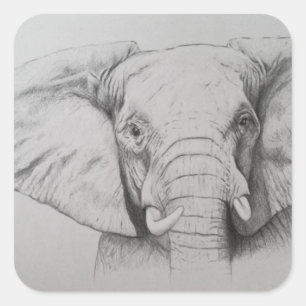 Elefant 2011 quadratischer aufkleber