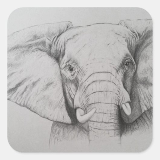 Elefant 2011 quadratischer aufkleber (Vorderseite)
