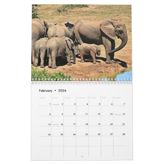 Elefant 2025 kalender (Feb 2026)