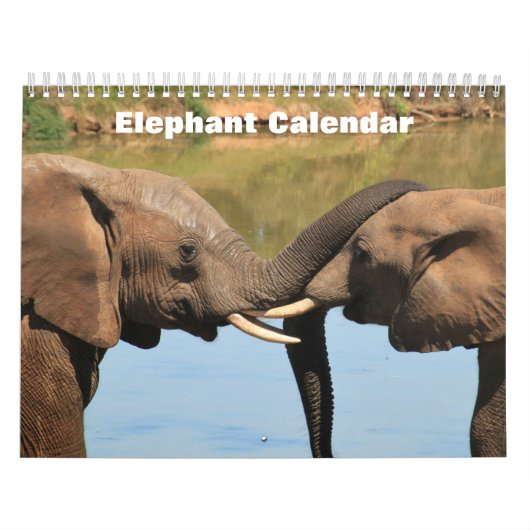 Elefant 2025 kalender (Titelbild)