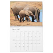 Elefant 2027 kalender (Mär 2027)