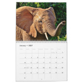 Elefant 2027 kalender (Jan 2027)