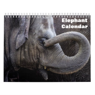 Elefant 2027 kalender
