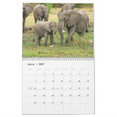 Elefant 2027  kalender (Mär 2027)
