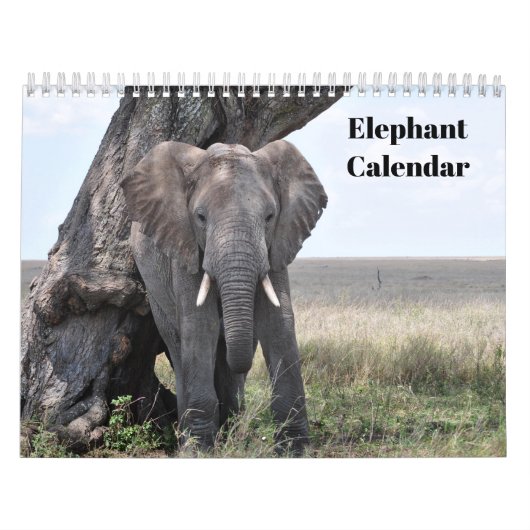 Elefant 2027 kalender (Titelbild)