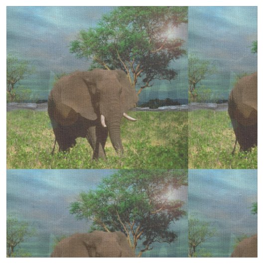 Elefant A Tag In Afrika, Stoff (Nahaufnahme)