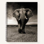 Elefant auf der Flucht Notizbuch (Vorderseite)