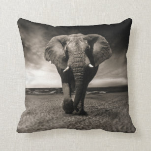 Schwarzer Elefant Kissen Zazzle De