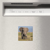 Elefant auf der Suche Magnet (In Situ (Geschirrspüler))