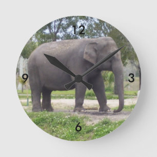 Elefant auf einem ruhigen Pfad zur Zeit Runde Wanduhr