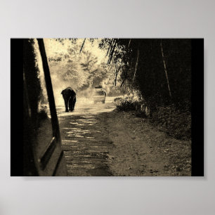 Elefant auf einem Spaziergang Poster