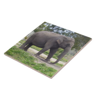 Elefant auf friedlichem Wiesenpfad Fliese