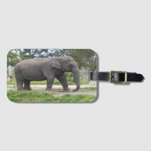 Elefant auf ruhiger Wiese Gepäckanhänger