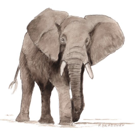 Elefant Aufkleber