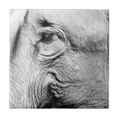 Elefant-Auge, 2017 Fliese (Vorderseite)