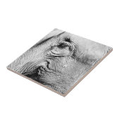 Elefant-Auge, 2017 Fliese (Seite)