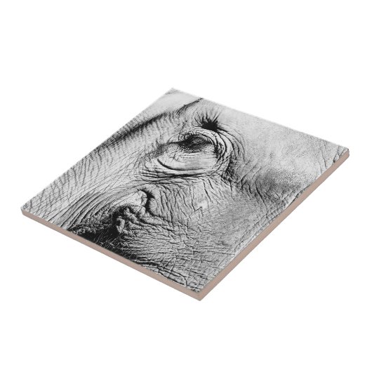 Elefant-Auge, 2017 Fliese (Seite)