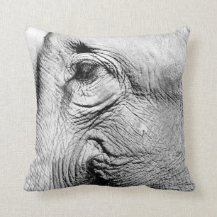 Elefant-Auge, 2017 Kissen