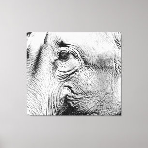 Elefant-Auge, 2017 Leinwanddruck