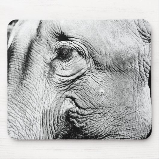 Elefant-Auge, 2017 Mousepad (Vorne)