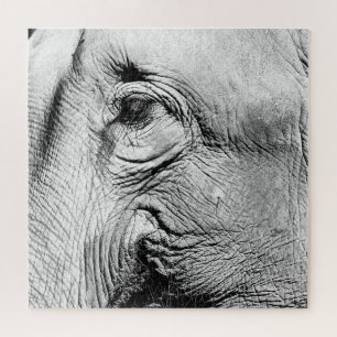 Elefant-Auge, 2017 Puzzle