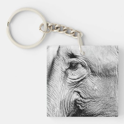 Elefant-Auge, 2017 Schlüsselanhänger (Vorderseite)