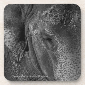 Elefant-Augen-GetränkeUntersetzer Getränkeuntersetzer (Vorderseite)