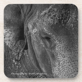 Elefant-Augen-GetränkeUntersetzer Getränkeuntersetzer