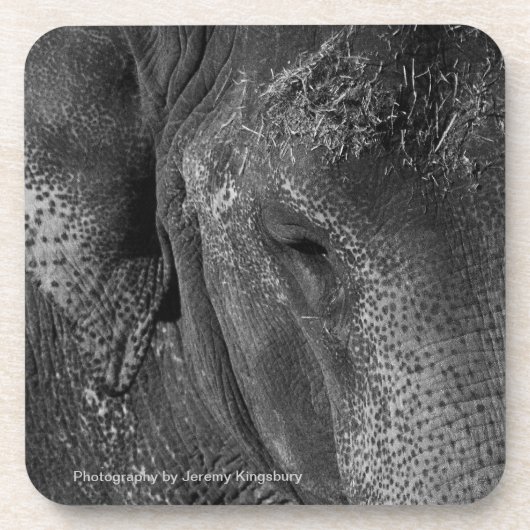 Elefant-Augen-GetränkeUntersetzer Getränkeuntersetzer (Vorderseite)