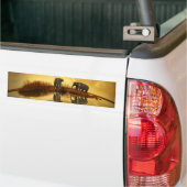 Elefant Autoaufkleber (Auf Lkw)