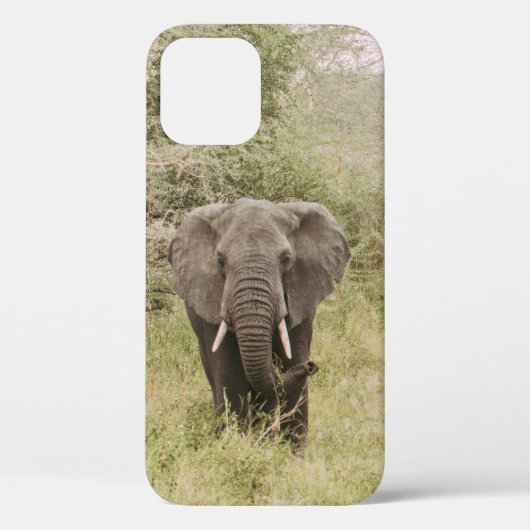 ELEFANT BEOBACHTET EINEN TOUR-WAGEN Case-Mate iPhone HÜLLE (Rückseite)