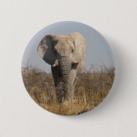 Elefant Button (Vorderseite)