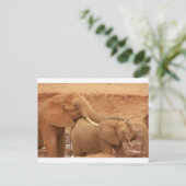 Elefant custom personalize diy Anniversaries Postkarte (Stehend Vorderseite)