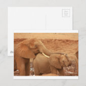 Elefant custom personalize diy Anniversaries Postkarte (Vorne/Hinten)