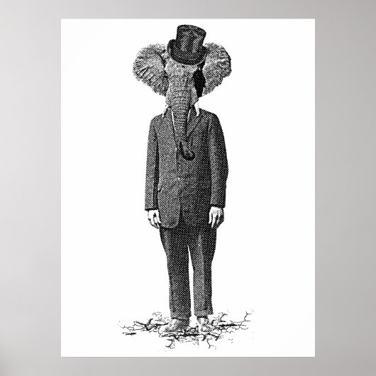 Elefant Dandy Poster (Vorne)