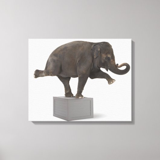 Elefant darstellend Trick on Box Leinwanddruck (Vorderseite)