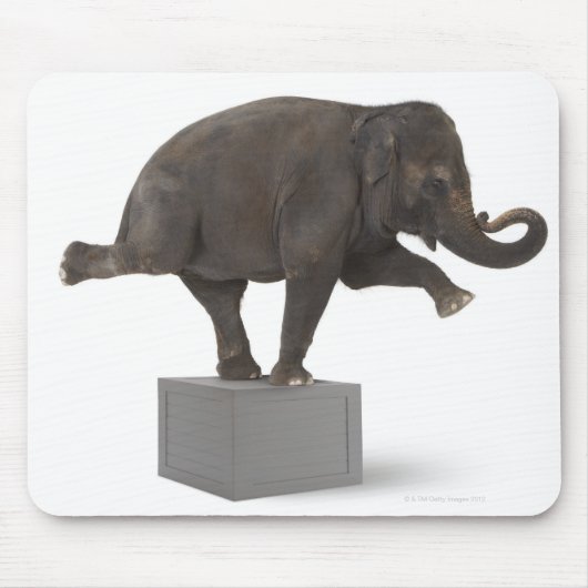 Elefant darstellend Trick on Box Mousepad (Vorne)