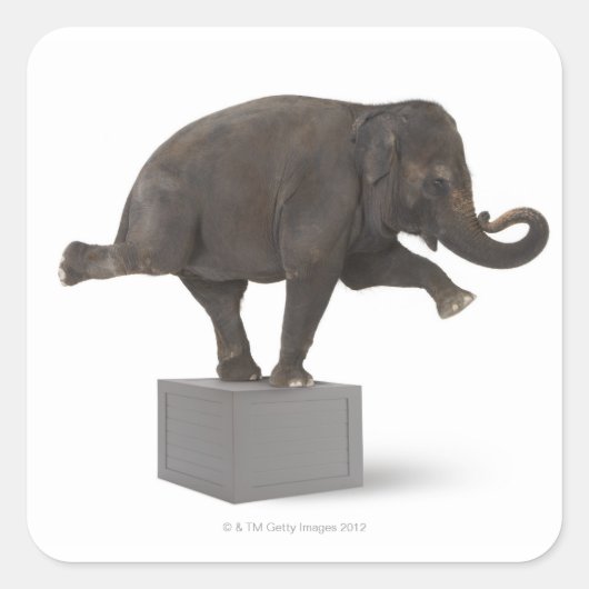 Elefant darstellend Trick on Box Quadratischer Aufkleber (Vorderseite)