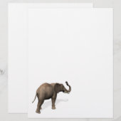 Elefant, der eine Selfie einnimmt (Vorne/Hinten)