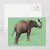 Elefant, der eine Selfie einnimmt Postkarte (Vorne/Hinten)
