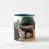 ELEFANT, DER IN KENIA GEFÜTTERT WIRD TASSE (Zentrum)