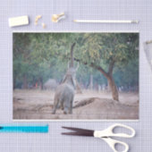 Elefant, der nach Acacia-Baum strebt Seidenpapier (Handwerk)