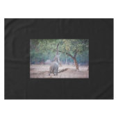 Elefant, der nach Acacia-Baum strebt Tischdecke (Vorderseite (Horizontal))