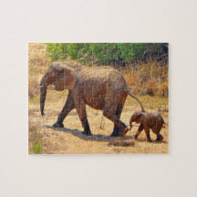 Elefant des Säuglings nach seiner Mutter, Südafrik
