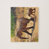 Elefant des Säuglings nach seiner Mutter, Südafrik Puzzle (Vertikal)