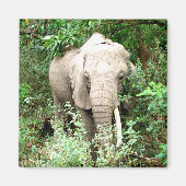 Elefant Emerge Magnet (Vorne)