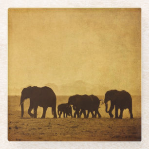 Elefant-Familie Glasuntersetzer