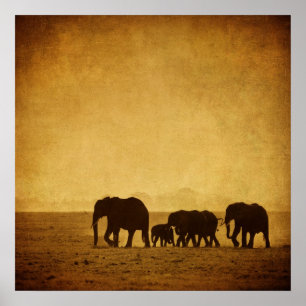 Elefant-Familie Poster