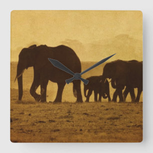 Elefant-Familie Quadratische Wanduhr